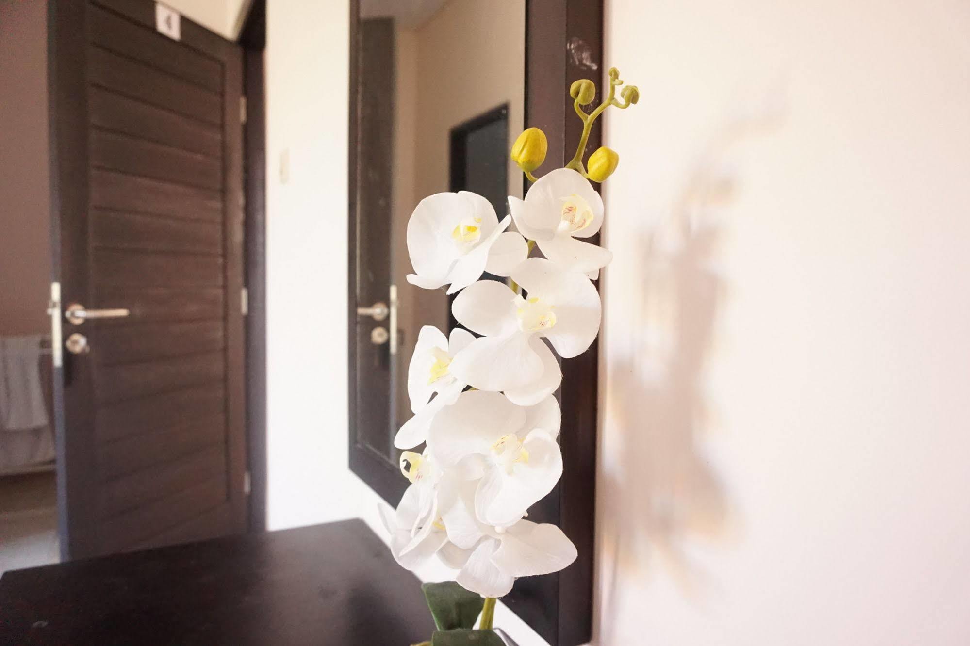 Cameng Homestay Denpasar Exteriér fotografie